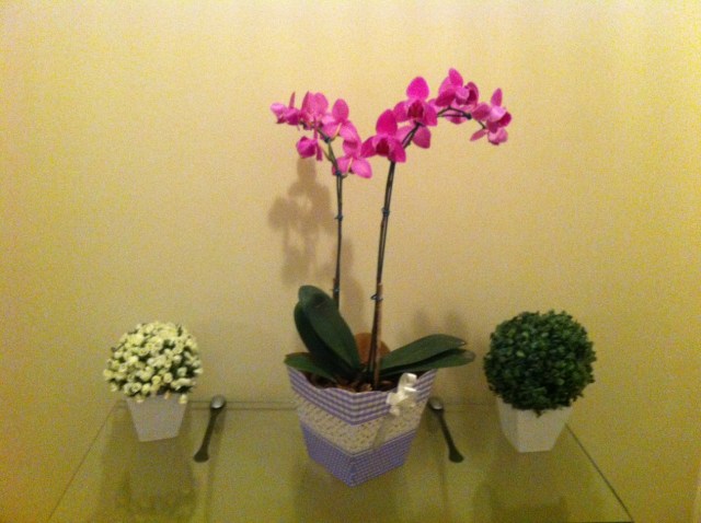 Vizinhos de bom gosto